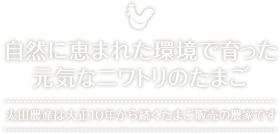 太田農産は大正10年から続く卵販売の農家です