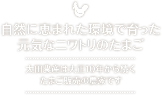 太田農産は大正10年から続く卵販売の農家です